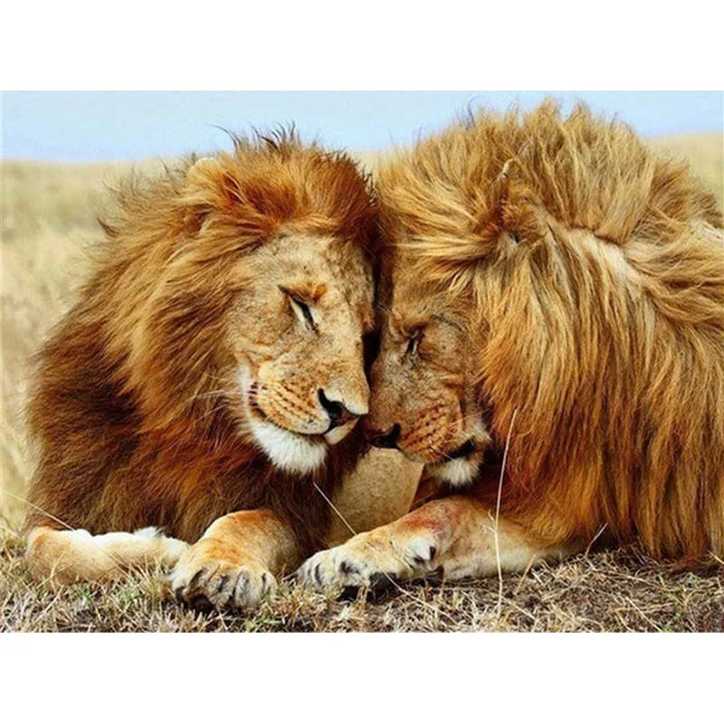 YIKEE diamond painting Lion,5d diamond painting new arrivals,cross stitch diamond K589
YIKEE diamond painting Lion,5d diamond painting new arrivals,cross stitch diamond K589