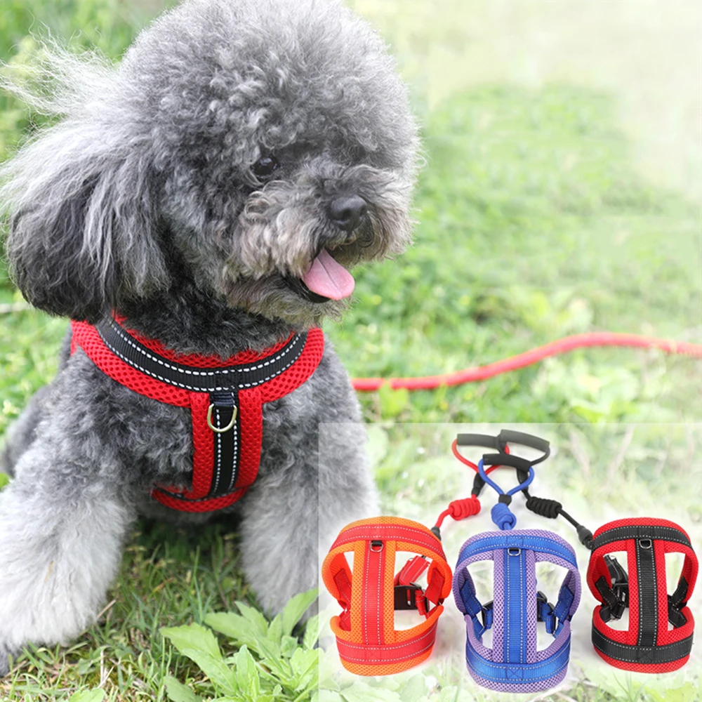 Harness Leash Leads Dog-Collar Pet Accessories Puppy Vest Dog Harness Leash Harness Leash For Animals Pet Products For Dog
Harness Leash Leads Dog-Collar Pet Accessories Puppy Vest Dog Harness Leash Harness Leash For Animals Pet Products For Dog