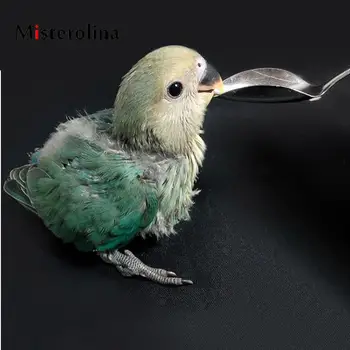 Misterolina Practical Feeding Spoon Stainless Steel Pet Feeding Tool Water Milk Spoon For Bird Parrot Chick
Misterolina Practical Feeding Spoon Stainless Steel Pet Feeding Tool Water Milk Spoon For Bird Parrot Chick