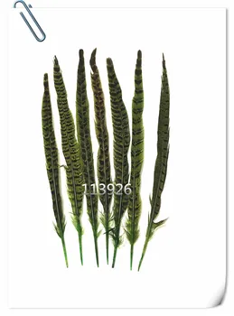 100pcs/lo30-35cm green pheasant tai festhers natural pheasant feathers plumes for wedding/party/home/garden decoration diy craft
100pcs/lo30-35cm green pheasant tai festhers natural pheasant feathers plumes for wedding/party/home/garden decoration diy craft