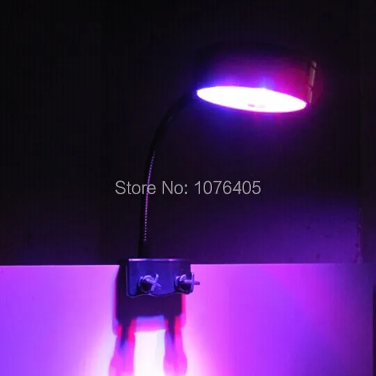 QQ20141227175541.jpg