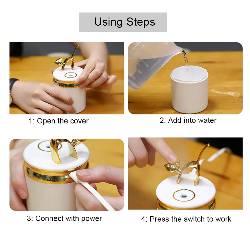 air humidifier (4)