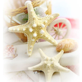 2PCs Natural True Starfish Fashion Popular Hand Hair Clip Side Clip Duckbill Clips for Women hair accessories
2PCs Natural True Starfish Fashion Popular Hand Hair Clip Side Clip Duckbill Clips for Women hair accessories