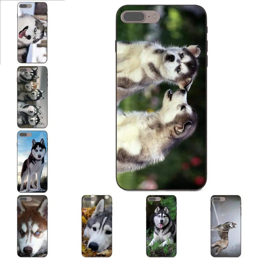 

For Huawei Honor 5A 6A 6C 7A 7C 7X 8A 8C 8X 9 10 P8 P9 P10 P20 P30 Mini Lite Plus TPU Phone Coque Siberian Husky Animal Lovely