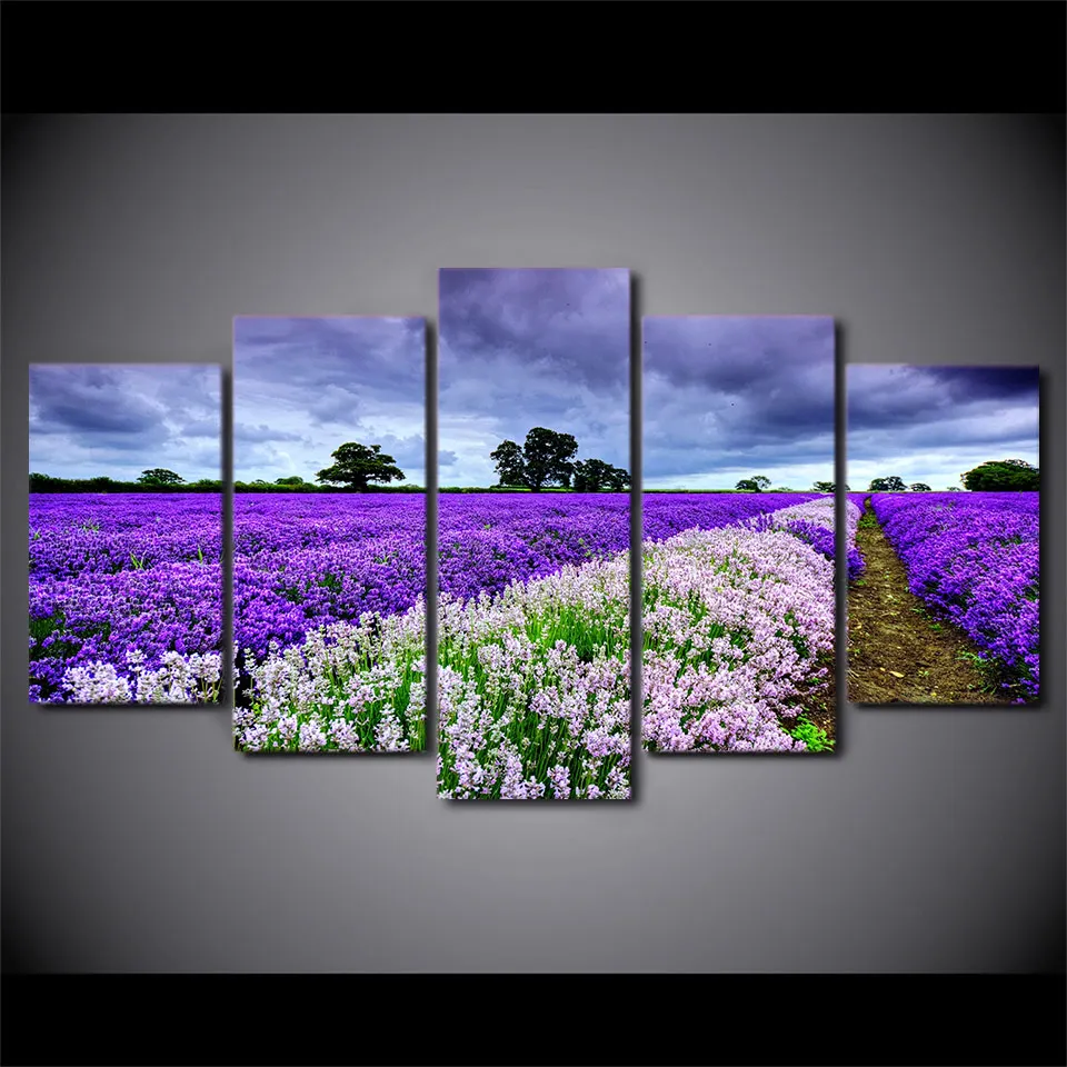 5 piece canvas painting lavender flower garden HD posters and prints canvas painting for living room free shipping
5 piece canvas painting lavender flower garden HD posters and prints canvas painting for living room free shipping