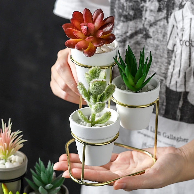 New 3 in 1 Pottery Planters Modern Small Flower Pots with Gold Black Metal Stands Decorative Tabletop Ornaments Home Decoration
New 3 in 1 Pottery Planters Modern Small Flower Pots with Gold Black Metal Stands Decorative Tabletop Ornaments Home Decoration