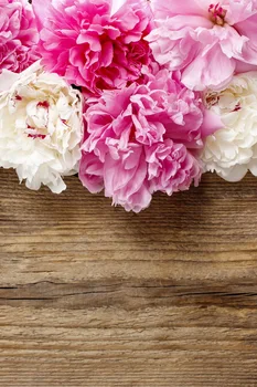 pink rose photography backdrop Art fabric newborn&pet photography backdrop studio background D-1783
pink rose photography backdrop Art fabric newborn&pet photography backdrop studio background D-1783
