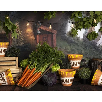 Hunny Baby Kids Birthday Photo Background Vinyl Printed Big Tree Bulbs Pots Carrot Children Newborn Photography Backdrops
Hunny Baby Kids Birthday Photo Background Vinyl Printed Big Tree Bulbs Pots Carrot Children Newborn Photography Backdrops