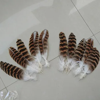 wholesale! Natural color eagle feathers 7-9 inch / 18-23 cm used for collection, decoration
wholesale! Natural color eagle feathers 7-9 inch / 18-23 cm used for collection, decoration