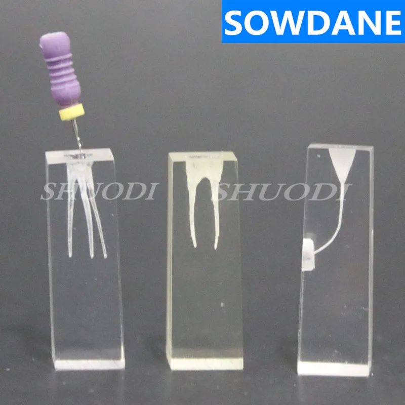 1:1 Resin Dental Endodontic Student Study Practice Operation Model Transparent without files (H 3cm)
1:1 Resin Dental Endodontic Student Study Practice Operation Model Transparent without files (H 3cm)
