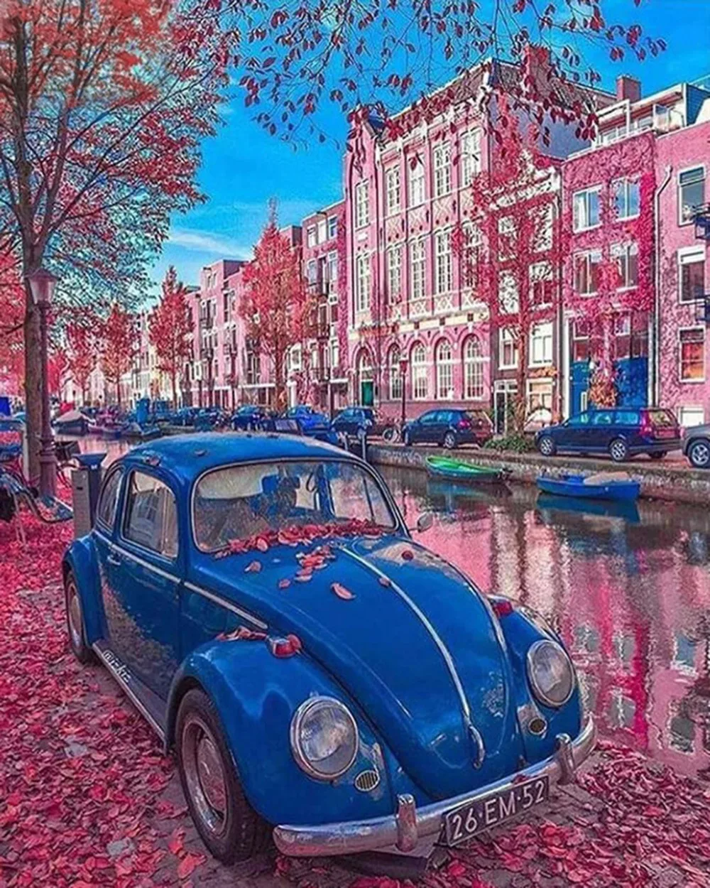 CAN300260440x50