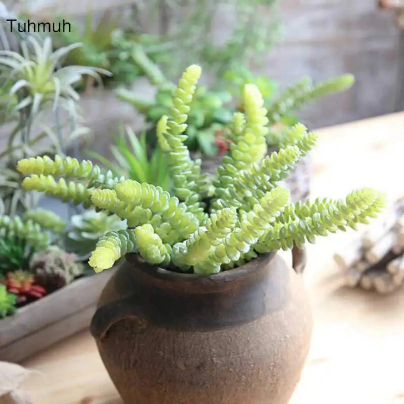 Artificial Succulent Plants Landscape Decorative Flower Mini Green Fake Succulents Plant Garden Arrangement Vase Decor
Artificial Succulent Plants Landscape Decorative Flower Mini Green Fake Succulents Plant Garden Arrangement Vase Decor