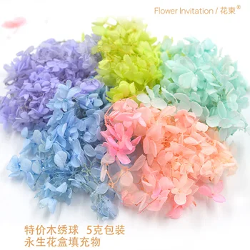 Flower Invitation Wooden Hydrangea 5g 1 pack diy plant natural high-grade flap flower eternal flower filler
Flower Invitation Wooden Hydrangea 5g 1 pack diy plant natural high-grade flap flower eternal flower filler