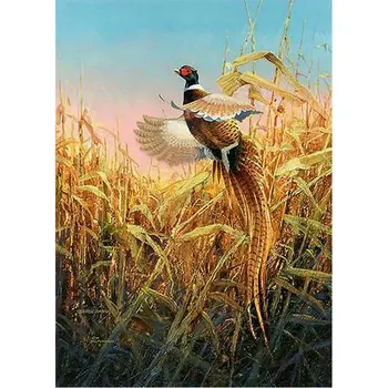 5D Diamond Embroidery Paintings Rhinestone Pasted Diy Diamond Painting Cross Stitch Animal pheasant Diamond Mosaic Room Decor
5D Diamond Embroidery Paintings Rhinestone Pasted Diy Diamond Painting Cross Stitch Animal pheasant Diamond Mosaic Room Decor