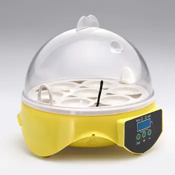 Mini 7 Egg Incubator Poultry Incubator Brooder Digital Temperature Hatchery Egg Incubator Hatcher Chicken Duck Bird Pigeon UK
Mini 7 Egg Incubator Poultry Incubator Brooder Digital Temperature Hatchery Egg Incubator Hatcher Chicken Duck Bird Pigeon UK