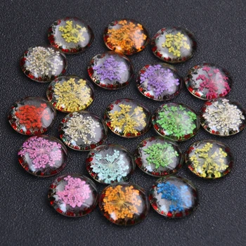 

4pcs 20mm 25mm Mixed Natural Dried Flowers Handmade Glass Cabochons Fit Earring Hooks bracelet Cameo Setting
