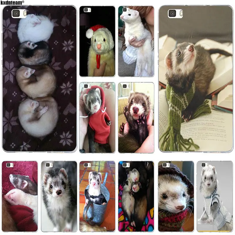 New Fashion Ferret For Huawei P8 P9 P10 P20 Mate 10 Pro Y5 Y6 II Y7 Honor 6X 7X 9 Lite Shell Bags Soft TPU Silicon Phone Cases
New Fashion Ferret For Huawei P8 P9 P10 P20 Mate 10 Pro Y5 Y6 II Y7 Honor 6X 7X 9 Lite Shell Bags Soft TPU Silicon Phone Cases