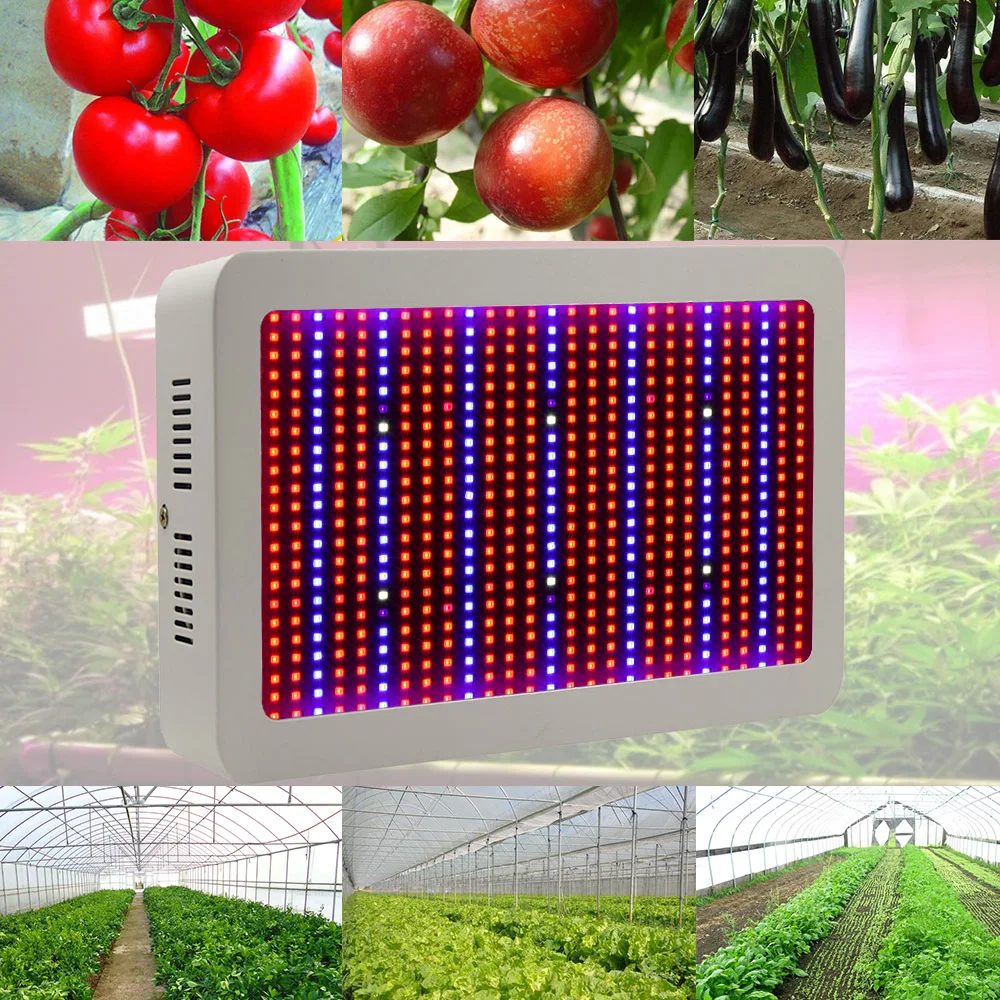 

400W 600W 800W LED Grow Lights Full Spectrum Indoor Plant Lamp For Plant Vegs Hydroponics System Grow/Bloom Flowering High Yield