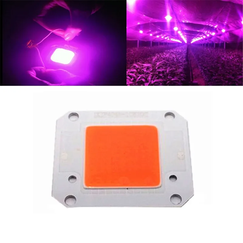 CLAITE 10W 20W 30W 50W 70W 100W Full Spectrum LED Grow Light Chip DC9-10V / DC20-32V Indoor Plant Grow Light for Indoor Plants
CLAITE 10W 20W 30W 50W 70W 100W Full Spectrum LED Grow Light Chip DC9-10V / DC20-32V Indoor Plant Grow Light for Indoor Plants