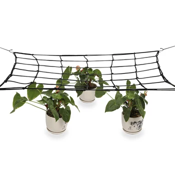 80X80cm Elastic Rubber Garden Trellis Net Support for Vegetable Climbing Vine Plants Garden Netting Flower Plant Support Net
80X80cm Elastic Rubber Garden Trellis Net Support for Vegetable Climbing Vine Plants Garden Netting Flower Plant Support Net