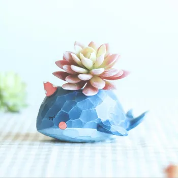 Cartoon Gardening Micro Landscape Flower Pot Pastoral Garden Bonsai Planter Micro Landscape flowerpot Garden Nordic Home Decor
Cartoon Gardening Micro Landscape Flower Pot Pastoral Garden Bonsai Planter Micro Landscape flowerpot Garden Nordic Home Decor