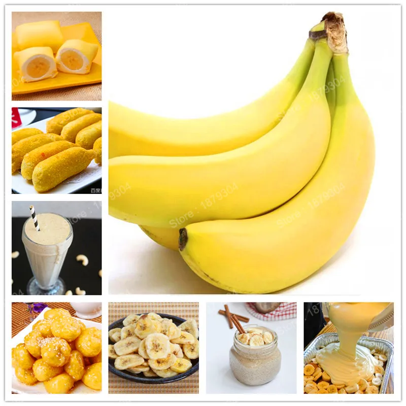 Promotion!Chinese Balcony Potted perennial Fruit Tree Bonsai Planted sweet banana Plantas plant in home & garden healthy fruit
Promotion!Chinese Balcony Potted perennial Fruit Tree Bonsai Planted sweet banana Plantas plant in home & garden healthy fruit