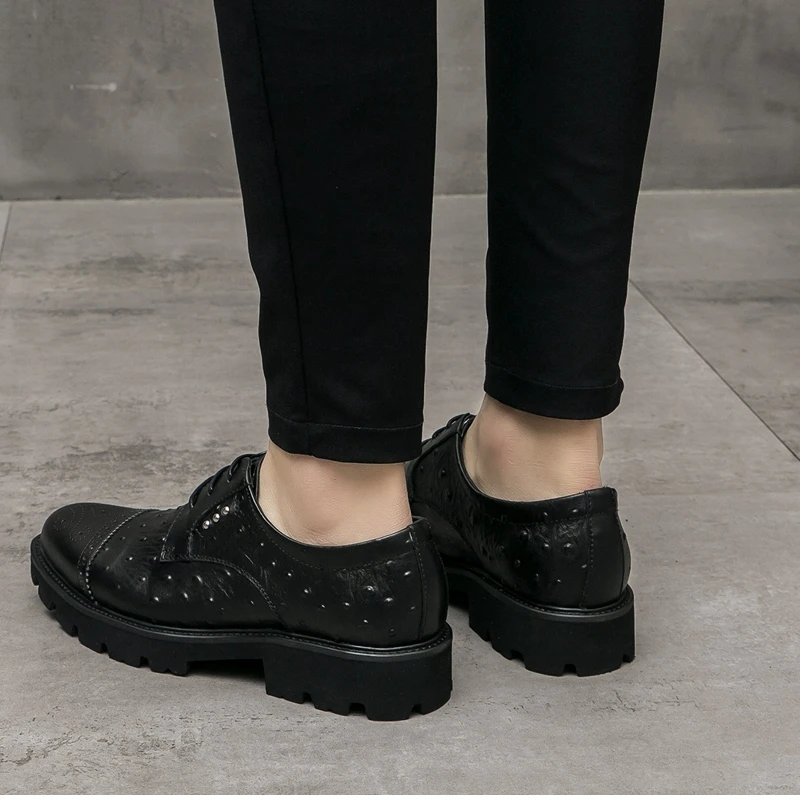 517A5179 -