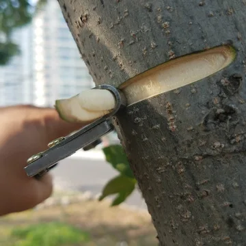 New Ring Stripping Pliers Jujube Stripping Tool Peeling Knife Armor Cutting Bark Fruit Tree Ring Cutting
New Ring Stripping Pliers Jujube Stripping Tool Peeling Knife Armor Cutting Bark Fruit Tree Ring Cutting