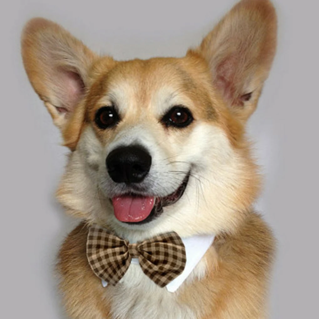 Brand New Grid Style Pet Dog Bowties Cat Bowknot Photo Props Neckties Puppy Kitten Party Dress up Collar
Brand New Grid Style Pet Dog Bowties Cat Bowknot Photo Props Neckties Puppy Kitten Party Dress up Collar