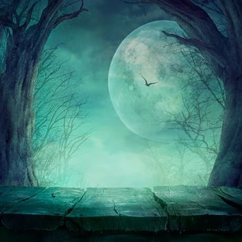 Halloween Backdrop Photography Dark Night Moon Pumpkin Bat Old Tree Wood Board Baby Pet Doll Portrait Photo Background Photocall
Halloween Backdrop Photography Dark Night Moon Pumpkin Bat Old Tree Wood Board Baby Pet Doll Portrait Photo Background Photocall