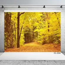 Autumn Forest Tree Yellow Photographic Backgrounds Wall Vinyl Photography Backdrops for Photo Studio Children Family Portrait
Autumn Forest Tree Yellow Photographic Backgrounds Wall Vinyl Photography Backdrops for Photo Studio Children Family Portrait
