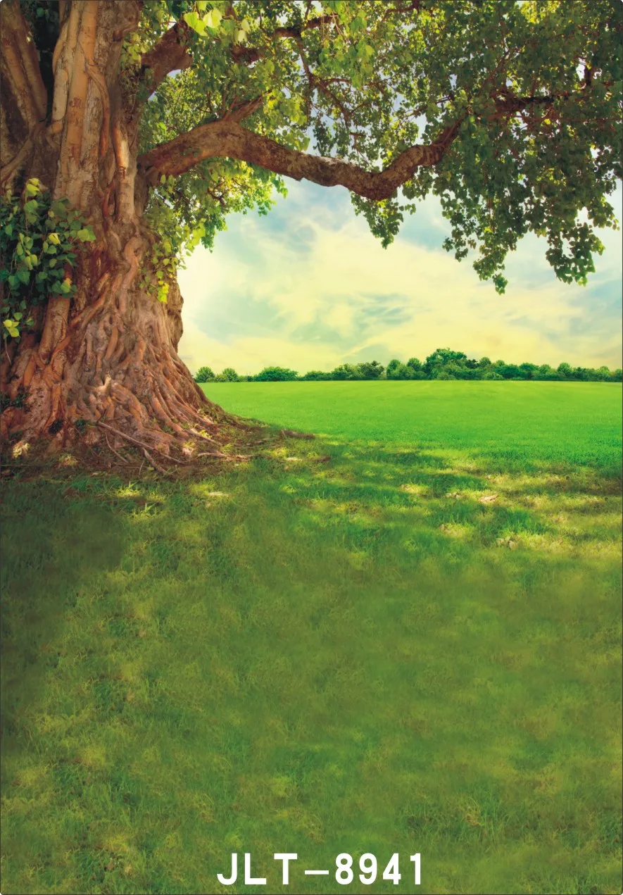 Spring Tree Grassland Wedding Children Vinyl Background For Photo Studio Props Baby Backdrops for Photography
Spring Tree Grassland Wedding Children Vinyl Background For Photo Studio Props Baby Backdrops for Photography