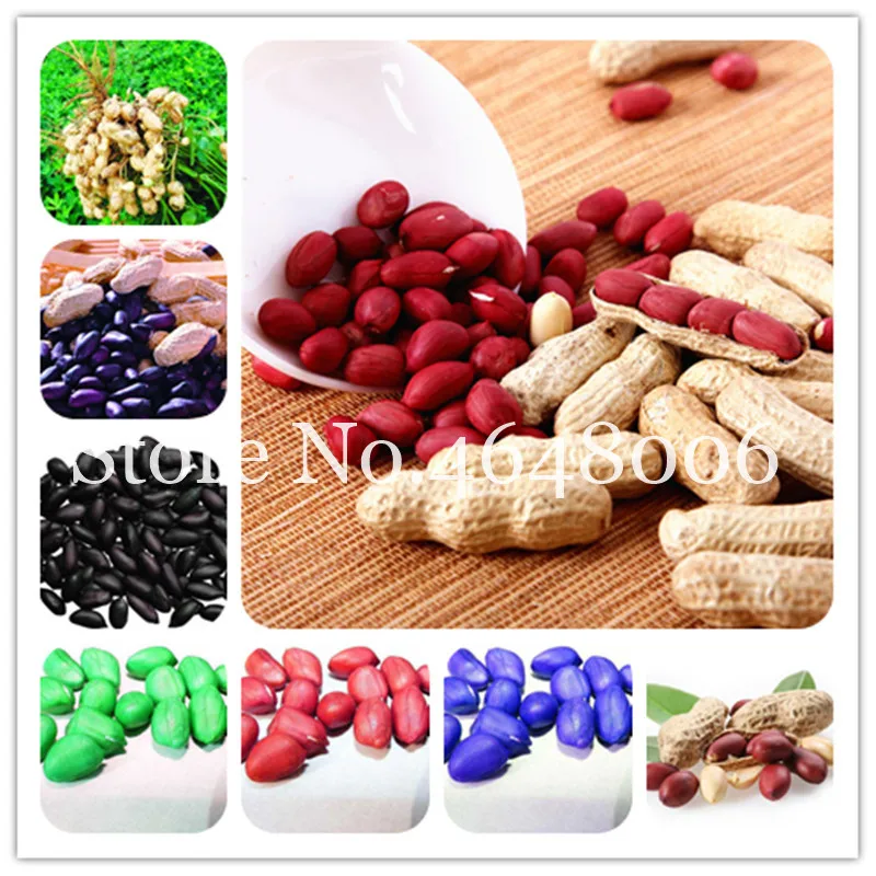 Promotion! 10 Pcs High Yield Peanut Bonsai Chinese Organic Rare Vegetable Bonsai Plants Semillas For Garden Germination Rate 95%
Promotion! 10 Pcs High Yield Peanut Bonsai Chinese Organic Rare Vegetable Bonsai Plants Semillas For Garden Germination Rate 95%