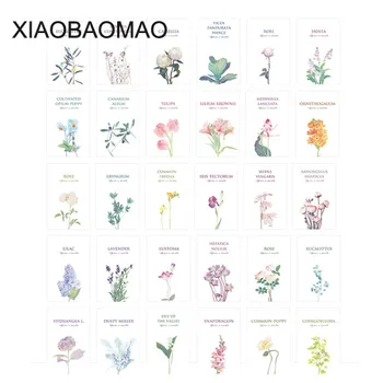 30pcs Cute Hand Painted Flowers Plant Girl Greeting Cards Postcards Birthday Letter Business Gift Card Set Message Card XLG933
30pcs Cute Hand Painted Flowers Plant Girl Greeting Cards Postcards Birthday Letter Business Gift Card Set Message Card XLG933
