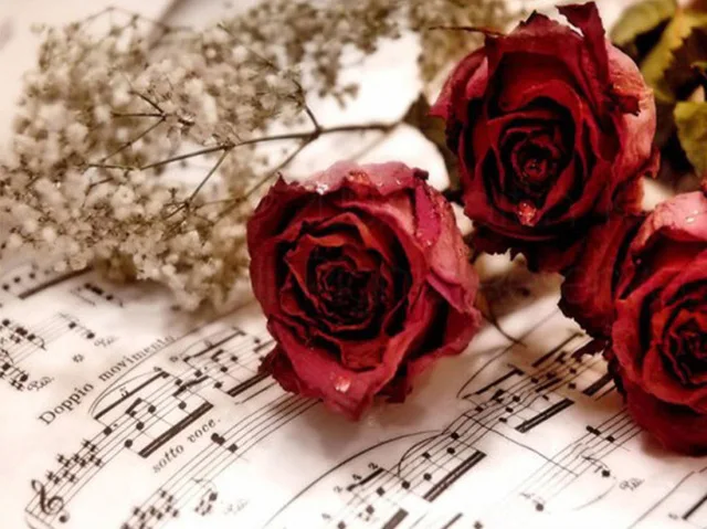 100% Full 5D Diy Daimond Painting "Music Rose" 3D Cross-stitch Round Rhinestone Full Pasted Diamant Painting Embroidery Flowers
100% Full 5D Diy Daimond Painting "Music Rose" 3D Cross-stitch Round Rhinestone Full Pasted Diamant Painting Embroidery Flowers