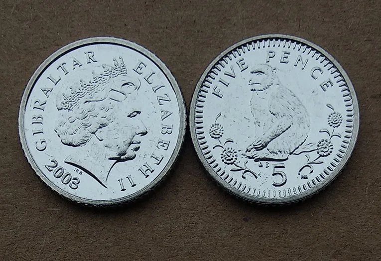 17.5mm Barbary macaque Gibraltar ,100% Real Genuine Comemorative Coin,Original Collection
17.5mm Barbary macaque Gibraltar ,100% Real Genuine Comemorative Coin,Original Collection
