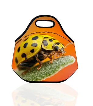Neoprene Thermal Insulated Insect Lunch Bag for Kids Storage Bag Tote Personalized School Lunch Box Insulation Bag Bolsa Termica
Neoprene Thermal Insulated Insect Lunch Bag for Kids Storage Bag Tote Personalized School Lunch Box Insulation Bag Bolsa Termica