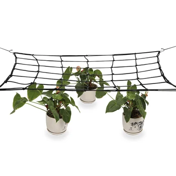 80*80cm Elastic Rubber Garden Trellis Net Garden Growing Tent Support Netting for Flower Vegetable Climbing Vine Plants Net 
80*80cm Elastic Rubber Garden Trellis Net Garden Growing Tent Support Netting for Flower Vegetable Climbing Vine Plants Net