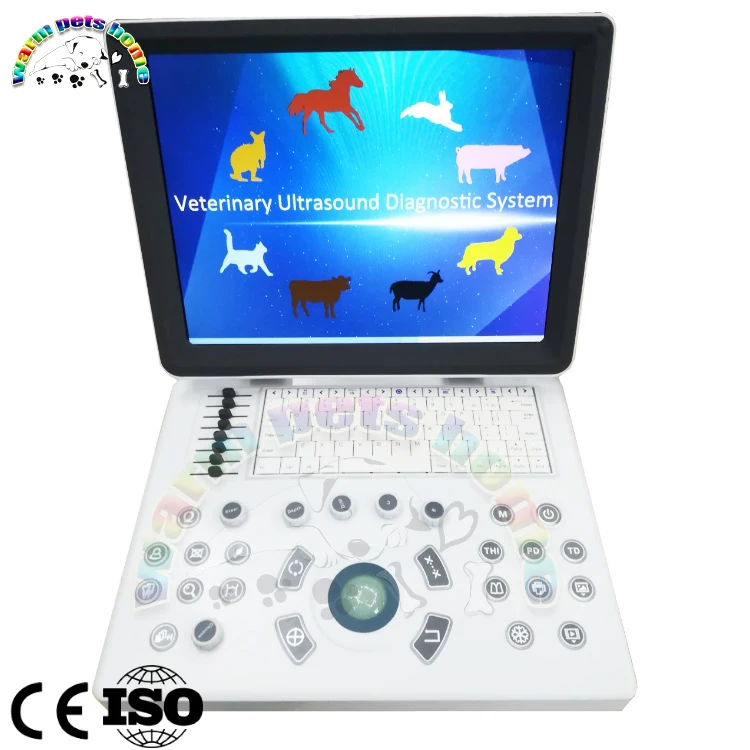 15 Inch Animal Dog Cat Ultrasound Machine Veterinary Ultrasound Scanner Doppler Color Digital Diagnostic Ultrasound Portable
15 Inch Animal Dog Cat Ultrasound Machine Veterinary Ultrasound Scanner Doppler Color Digital Diagnostic Ultrasound Portable