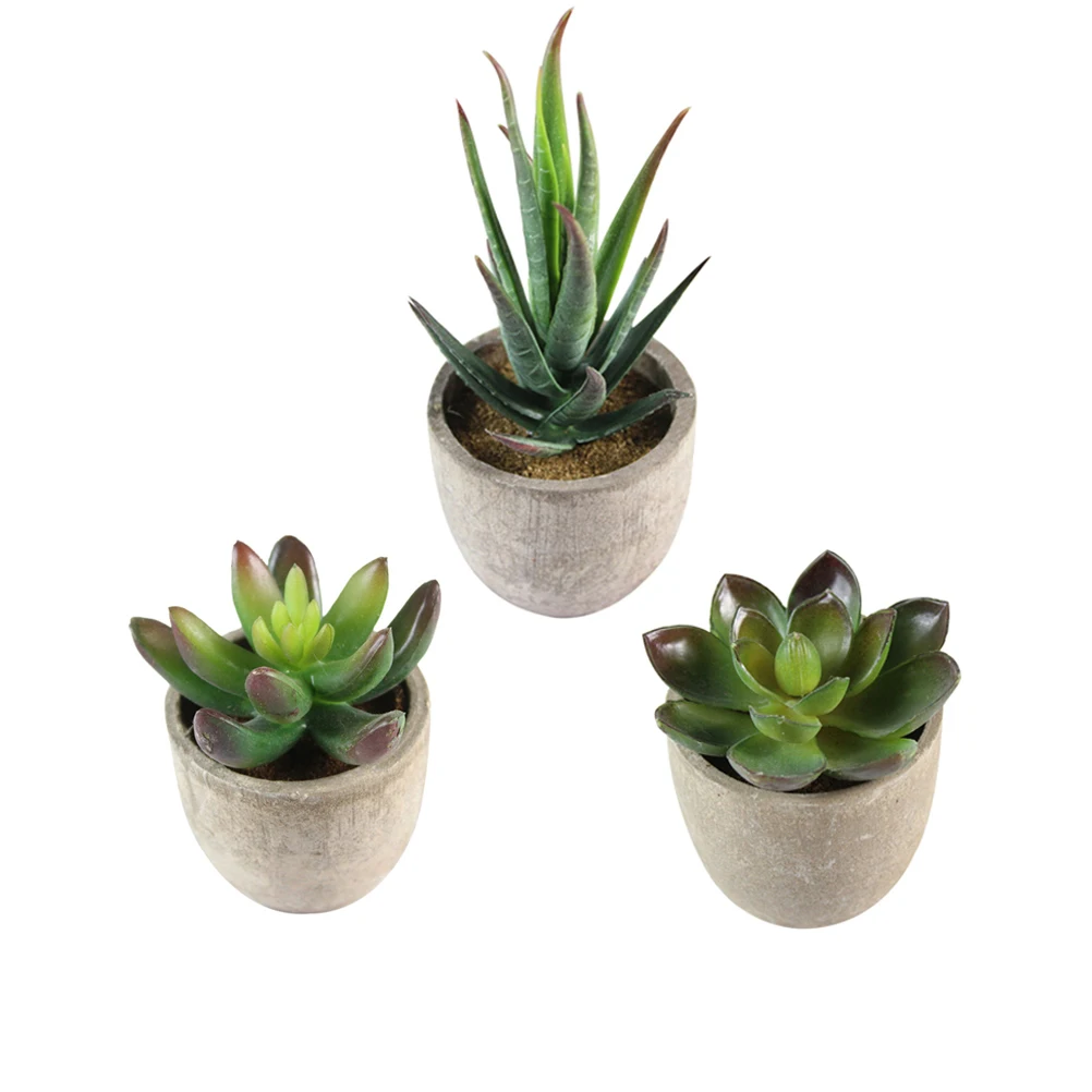 BESTOYARD 3pcs Decorative Faux Succulent Artificial Succulent Fake Simulation Plants with Pots
BESTOYARD 3pcs Decorative Faux Succulent Artificial Succulent Fake Simulation Plants with Pots