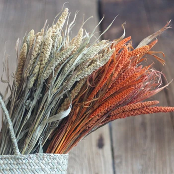 10 Pieces A Bunch Grain Natural Dried Plant 3 Colors 60-70 CM Length Original Ecology Natural Dry Flower Art Shooting Props
10 Pieces A Bunch Grain Natural Dried Plant 3 Colors 60-70 CM Length Original Ecology Natural Dry Flower Art Shooting Props