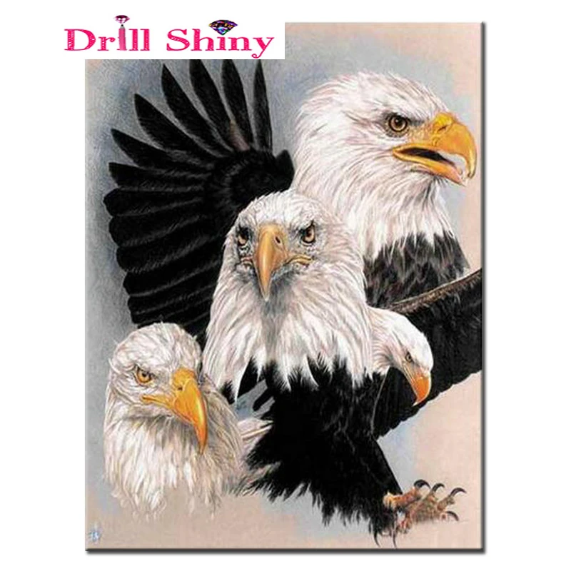 Needlework Diamond Painting eagle Diamond Cross Stitch animals square Diamond art Full Diamond Embroidery Home Decor
Needlework Diamond Painting eagle Diamond Cross Stitch animals square Diamond art Full Diamond Embroidery Home Decor