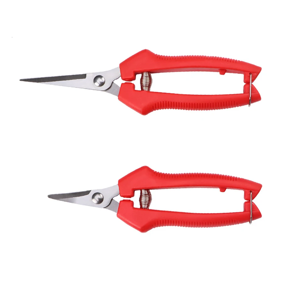 VOTO Professional Straight Stainless Steel Picking Fruit Picking Scissors Thin Fruit Branch Shears Gardening Floral Small
VOTO Professional Straight Stainless Steel Picking Fruit Picking Scissors Thin Fruit Branch Shears Gardening Floral Small