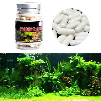 60pcs Aquarium Nitrobacteria Capsule for Water Treatment Bio-Nitrobacteria Capsule Fish Tank Pond Cleaning Water Supplies
60pcs Aquarium Nitrobacteria Capsule for Water Treatment Bio-Nitrobacteria Capsule Fish Tank Pond Cleaning Water Supplies