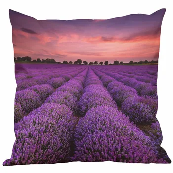 Cushion case Simulation Lavender Pattern Printed linen One side printing Sofa Home Decorative Pillow Holder 45x45cm Cojines
Cushion case Simulation Lavender Pattern Printed linen One side printing Sofa Home Decorative Pillow Holder 45x45cm Cojines
