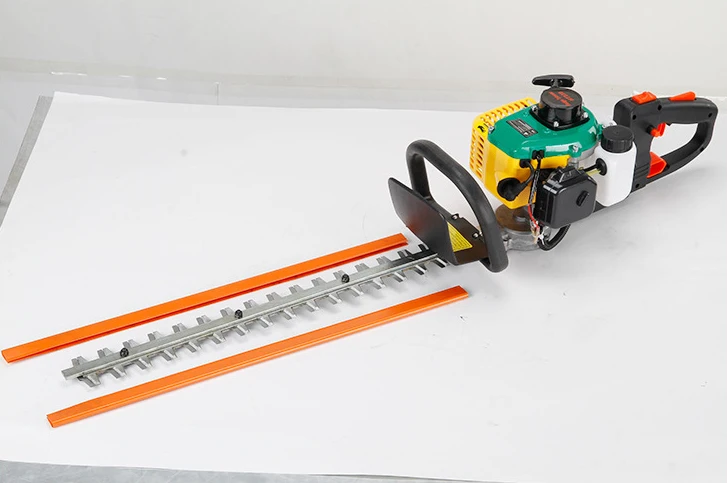 2938389409_1627526525