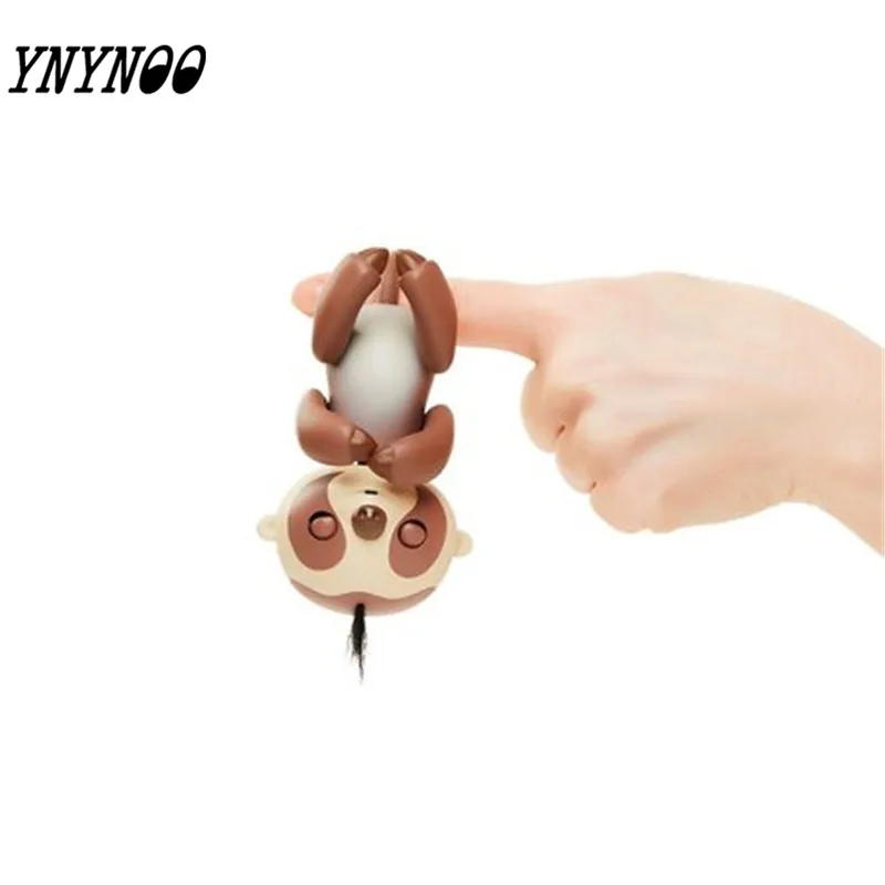 4770211893_1381277148