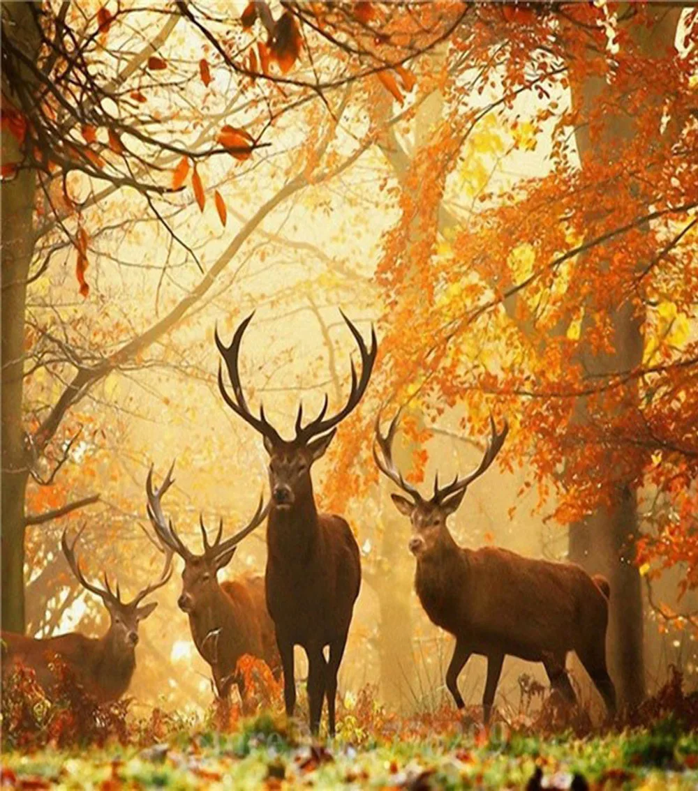 Elk Diamond Painting Cross Stitch Rhinestones Embroidery Pasted DIY Arts Craft For Living Room Home Decoration 2018
Elk Diamond Painting Cross Stitch Rhinestones Embroidery Pasted DIY Arts Craft For Living Room Home Decoration 2018