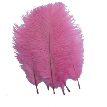 Wholesale Hard rod 10 Pcs/Lot Natural Pink Ostrich Feathers For Crafts 15-75CM Carnival Party Wedding Decorations Jewelry plumes
Wholesale Hard rod 10 Pcs/Lot Natural Pink Ostrich Feathers For Crafts 15-75CM Carnival Party Wedding Decorations Jewelry plumes