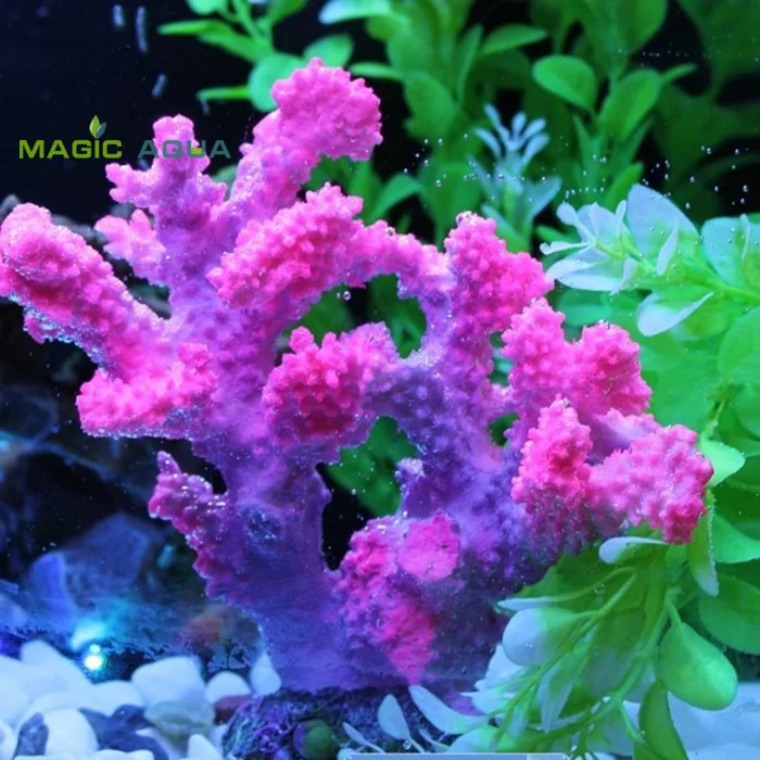 Magic Aqua Pink Color Resin Artificial Sea Marine Coral Ornament for Fish Tank Aquarium Decoration
Magic Aqua Pink Color Resin Artificial Sea Marine Coral Ornament for Fish Tank Aquarium Decoration